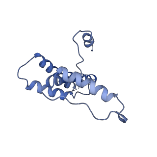 15295_8aac_MC_v1-0
African cichlid nackednavirus capsid at pH 7.5