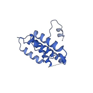 15295_8aac_VA_v1-0
African cichlid nackednavirus capsid at pH 7.5