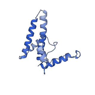 15295_8aac_XA_v1-0
African cichlid nackednavirus capsid at pH 7.5