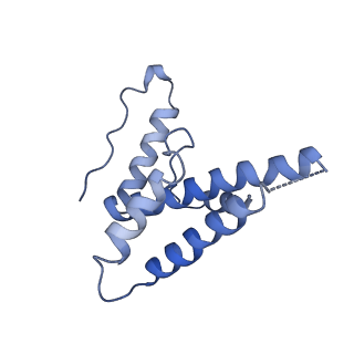 15295_8aac_ZB_v1-0
African cichlid nackednavirus capsid at pH 7.5