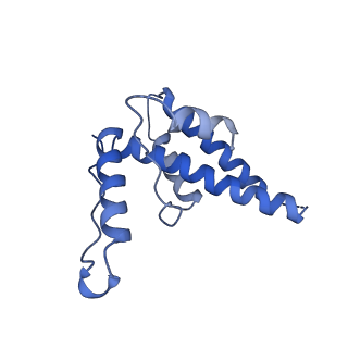 15295_8aac_dA_v1-0
African cichlid nackednavirus capsid at pH 7.5