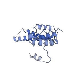 15295_8aac_eB_v1-0
African cichlid nackednavirus capsid at pH 7.5