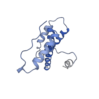 15295_8aac_iB_v1-0
African cichlid nackednavirus capsid at pH 7.5