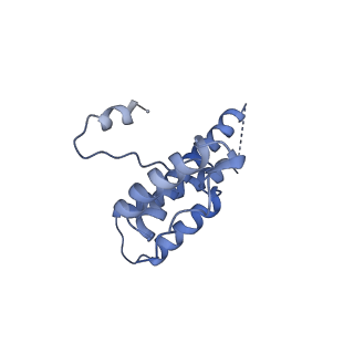 15295_8aac_pC_v1-0
African cichlid nackednavirus capsid at pH 7.5