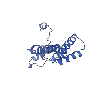 15295_8aac_rC_v1-0
African cichlid nackednavirus capsid at pH 7.5