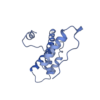 15295_8aac_wB_v1-0
African cichlid nackednavirus capsid at pH 7.5