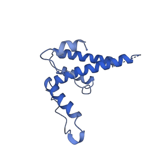 15295_8aac_xC_v1-0
African cichlid nackednavirus capsid at pH 7.5