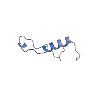 15296_8aaf_Y_v1-0
Yeast RQC complex in state G