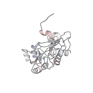 6397_5aa0_AC_v1-7
Complex of Thermous thermophilus ribosome (A-and P-site tRNA) bound to BipA-GDPCP