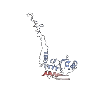 6397_5aa0_AF_v1-7
Complex of Thermous thermophilus ribosome (A-and P-site tRNA) bound to BipA-GDPCP