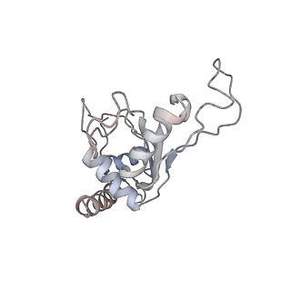 6397_5aa0_AG_v1-7
Complex of Thermous thermophilus ribosome (A-and P-site tRNA) bound to BipA-GDPCP
