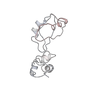 6397_5aa0_AJ_v1-7
Complex of Thermous thermophilus ribosome (A-and P-site tRNA) bound to BipA-GDPCP