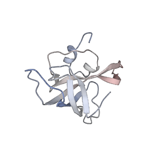 6397_5aa0_AL_v1-7
Complex of Thermous thermophilus ribosome (A-and P-site tRNA) bound to BipA-GDPCP