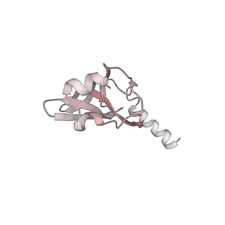 6397_5aa0_AQ_v1-7
Complex of Thermous thermophilus ribosome (A-and P-site tRNA) bound to BipA-GDPCP