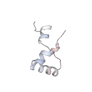 6397_5aa0_Ad_v1-7
Complex of Thermous thermophilus ribosome (A-and P-site tRNA) bound to BipA-GDPCP