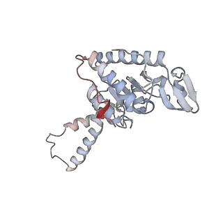 6397_5aa0_BF_v1-7
Complex of Thermous thermophilus ribosome (A-and P-site tRNA) bound to BipA-GDPCP