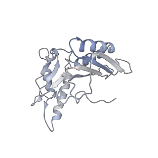 6397_5aa0_BG_v1-7
Complex of Thermous thermophilus ribosome (A-and P-site tRNA) bound to BipA-GDPCP