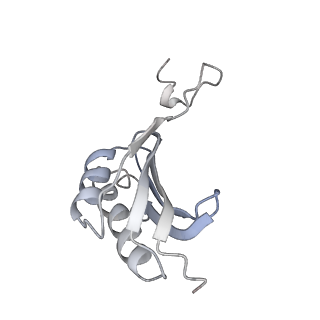 6397_5aa0_BO_v1-7
Complex of Thermous thermophilus ribosome (A-and P-site tRNA) bound to BipA-GDPCP