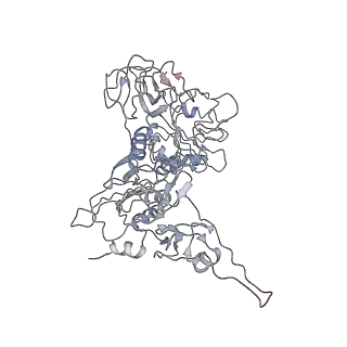 6397_5aa0_BZ_v1-7
Complex of Thermous thermophilus ribosome (A-and P-site tRNA) bound to BipA-GDPCP