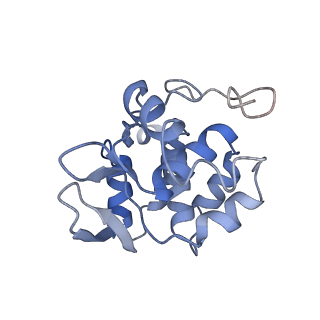11694_7abf_I_v1-1
Human pre-Bact-1 spliceosome core structure