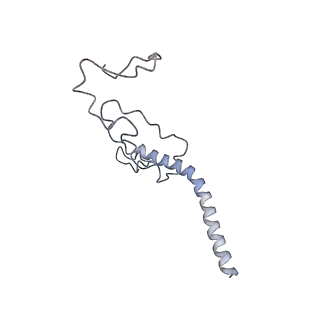 11694_7abf_K_v1-1
Human pre-Bact-1 spliceosome core structure