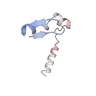 11694_7abf_N_v1-1
Human pre-Bact-1 spliceosome core structure