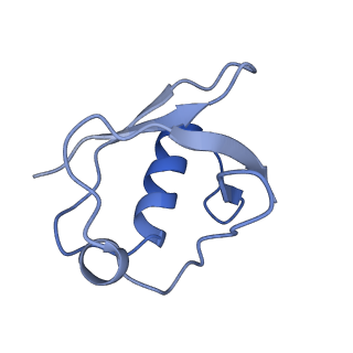 11694_7abf_q_v1-1
Human pre-Bact-1 spliceosome core structure