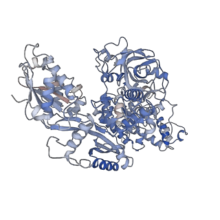 11694_7abf_r_v1-1
Human pre-Bact-1 spliceosome core structure