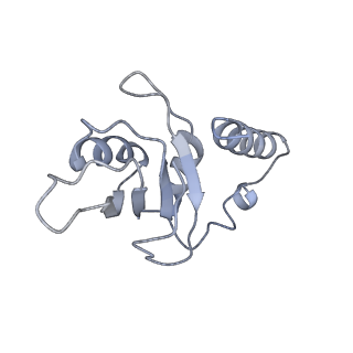 11696_7abh_1_v1-1
Human pre-Bact-2 spliceosome (SF3b/U2 snRNP portion)