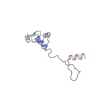 11696_7abh_4_v1-1
Human pre-Bact-2 spliceosome (SF3b/U2 snRNP portion)