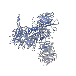 11696_7abh_E_v1-1
Human pre-Bact-2 spliceosome (SF3b/U2 snRNP portion)