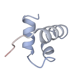 11696_7abh_L_v1-1
Human pre-Bact-2 spliceosome (SF3b/U2 snRNP portion)