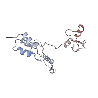 11696_7abh_T_v1-1
Human pre-Bact-2 spliceosome (SF3b/U2 snRNP portion)