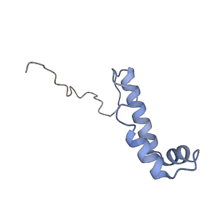 11696_7abh_x_v1-1
Human pre-Bact-2 spliceosome (SF3b/U2 snRNP portion)