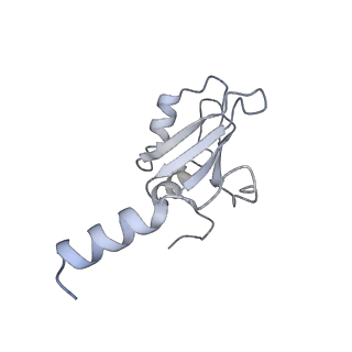 11696_7abh_z_v1-1
Human pre-Bact-2 spliceosome (SF3b/U2 snRNP portion)