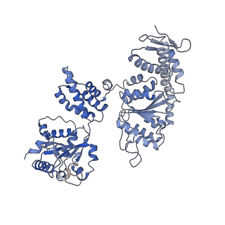 11707_7abr_A_v1-2
Cryo-EM structure of B. subtilis ClpC (DWB mutant) hexamer bound to a substrate polypeptide