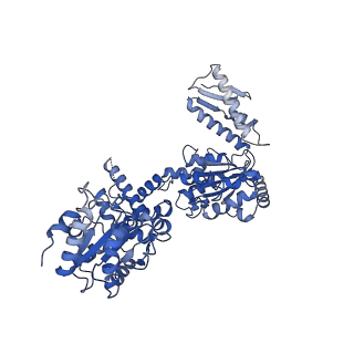 11707_7abr_B_v1-2
Cryo-EM structure of B. subtilis ClpC (DWB mutant) hexamer bound to a substrate polypeptide