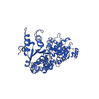 11707_7abr_C_v1-2
Cryo-EM structure of B. subtilis ClpC (DWB mutant) hexamer bound to a substrate polypeptide