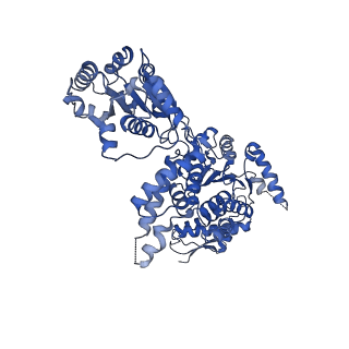 11707_7abr_D_v1-2
Cryo-EM structure of B. subtilis ClpC (DWB mutant) hexamer bound to a substrate polypeptide