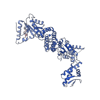 11707_7abr_E_v1-2
Cryo-EM structure of B. subtilis ClpC (DWB mutant) hexamer bound to a substrate polypeptide