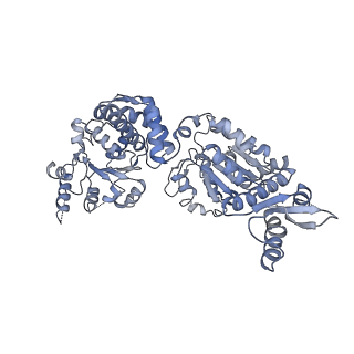 11707_7abr_F_v1-2
Cryo-EM structure of B. subtilis ClpC (DWB mutant) hexamer bound to a substrate polypeptide