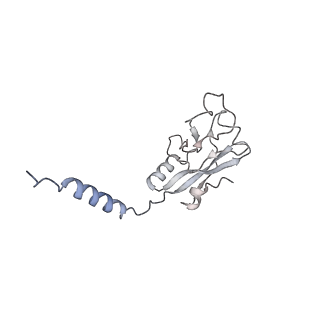 11710_7abz_5_v1-1
Structure of pre-accomodated trans-translation complex on E. coli stalled ribosome.