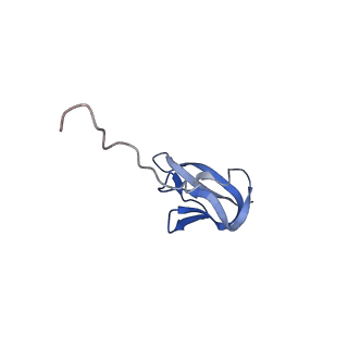 11710_7abz_A_v1-1
Structure of pre-accomodated trans-translation complex on E. coli stalled ribosome.