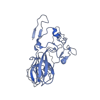 11710_7abz_B_v1-1
Structure of pre-accomodated trans-translation complex on E. coli stalled ribosome.