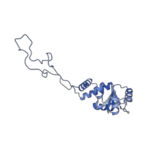 11710_7abz_D_v1-1
Structure of pre-accomodated trans-translation complex on E. coli stalled ribosome.