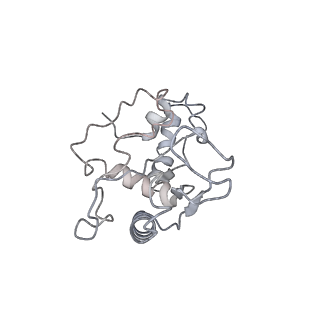 11710_7abz_E_v1-1
Structure of pre-accomodated trans-translation complex on E. coli stalled ribosome.