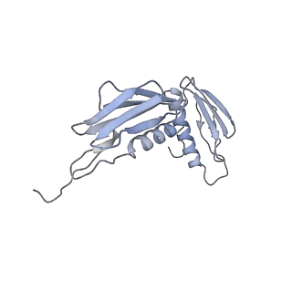 11710_7abz_F_v1-1
Structure of pre-accomodated trans-translation complex on E. coli stalled ribosome.