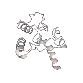 11710_7abz_H_v1-1
Structure of pre-accomodated trans-translation complex on E. coli stalled ribosome.