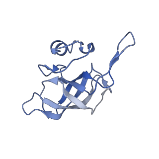 11710_7abz_K_v1-1
Structure of pre-accomodated trans-translation complex on E. coli stalled ribosome.