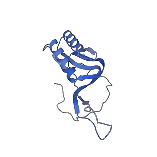 11710_7abz_M_v1-1
Structure of pre-accomodated trans-translation complex on E. coli stalled ribosome.